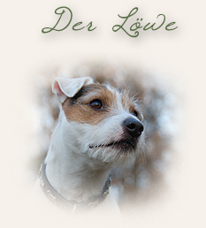 derloewe