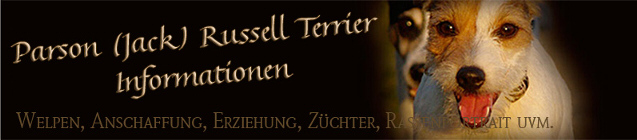 Informationsseite zum Thema Parson Russell Terrier